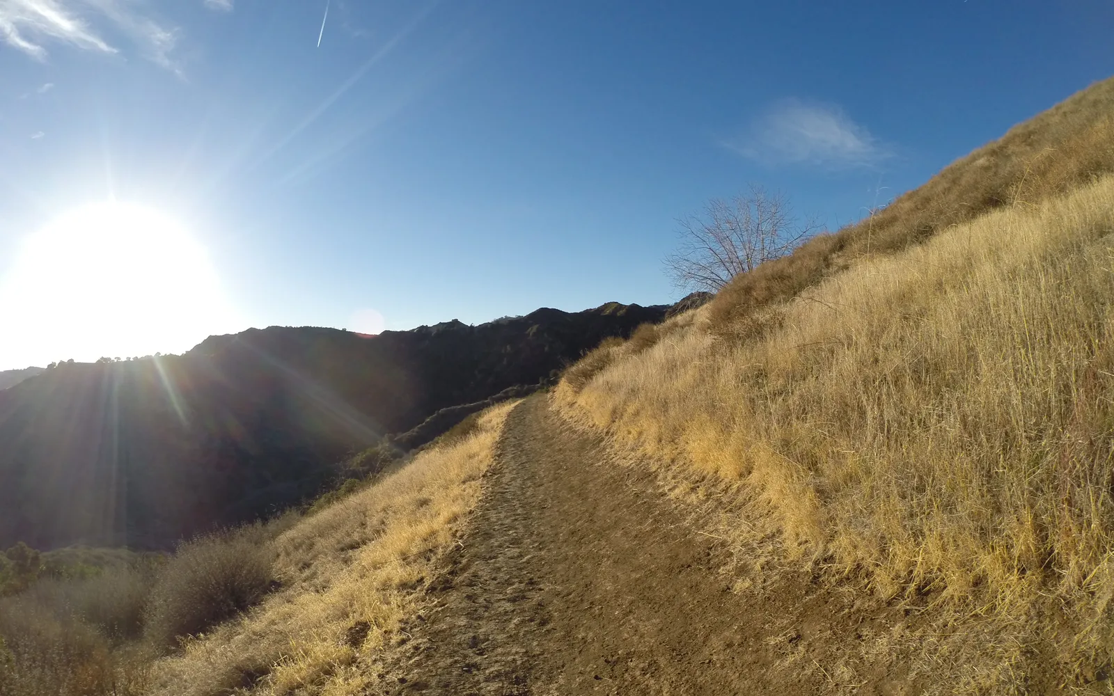 Hiking trail in Towsley Canyon within the Santa Susana Mountains
